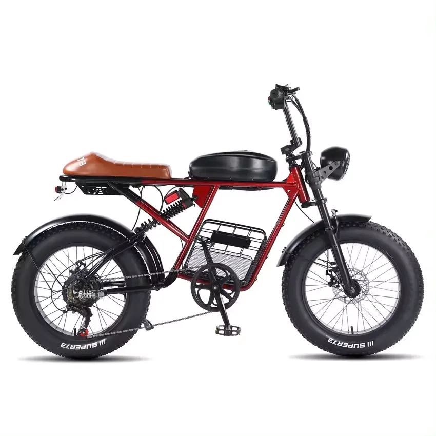 Ebike Alibaba Buy Adult Mountain Bike Electric Bike 2000W 48V