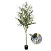Simulation olive tree-detachable design