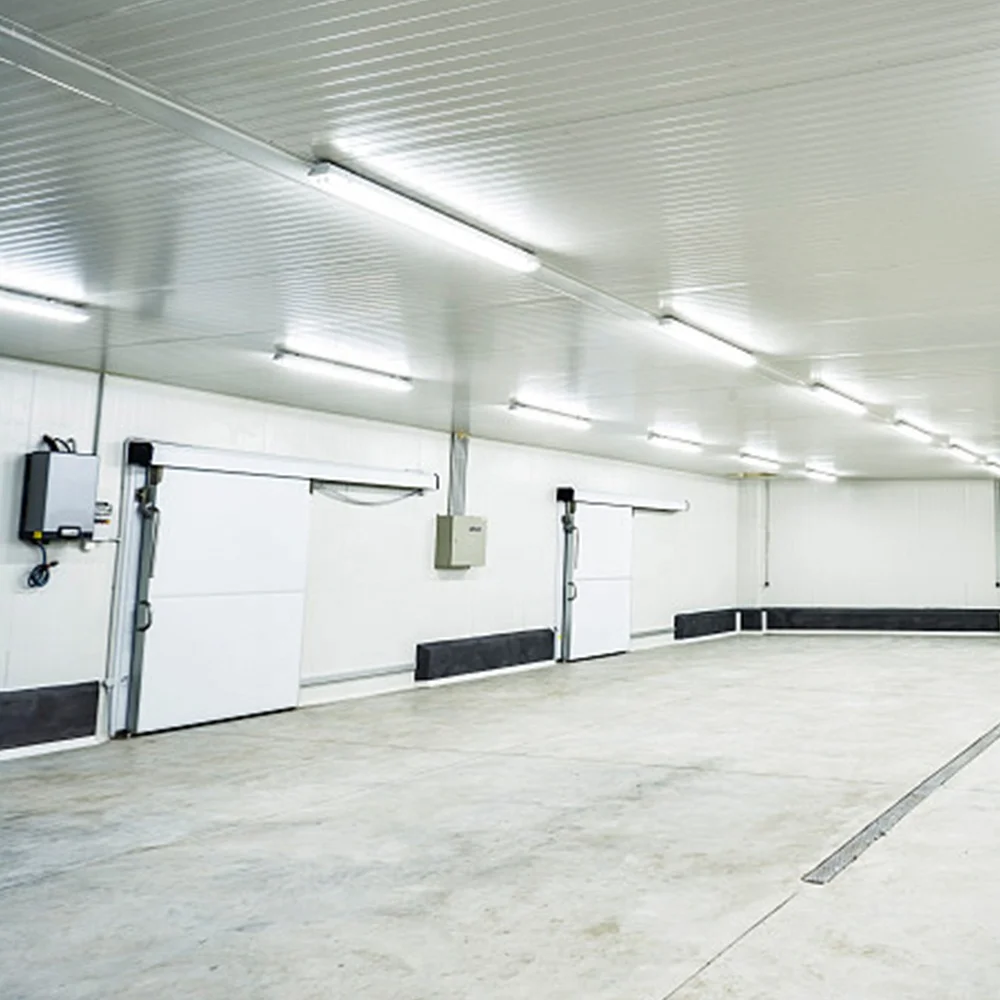 Easy Installation Walk in Vegetable Processing Plant Cold Room Cold Storage Plant Commerical Industrial Cool Rooms