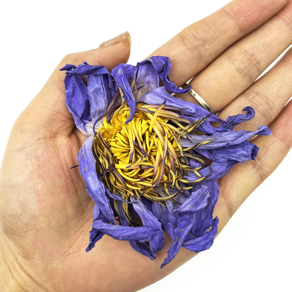 ブルーロータス ドライフラワー 100%有機栽培140g ブルーロータス