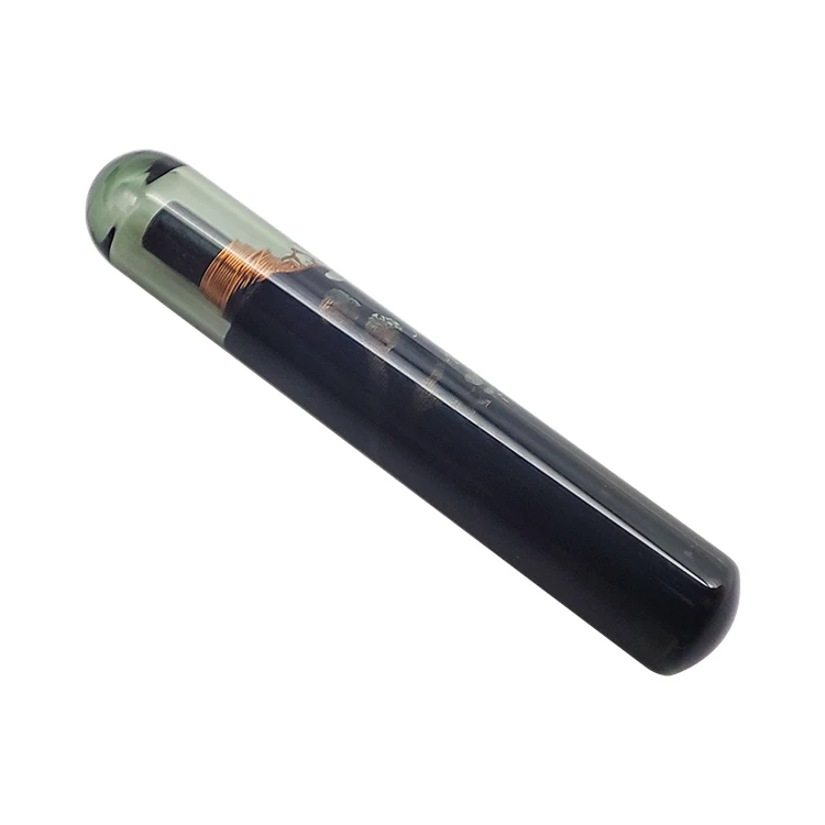 Car Key Chip Blank 4D60 TP06 80 Bit Glass Transponder Key Chip for F-ord ID 4D 60 Auto Car Key Chip
