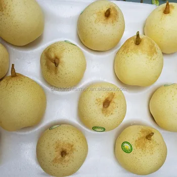 Fresh Ya Pear Hot on sale Chinese fruit
