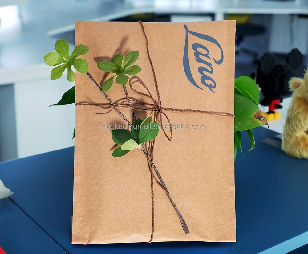 Compostable Honeycomb Padded Kraft Paper Express Envelope Biodegradable ...