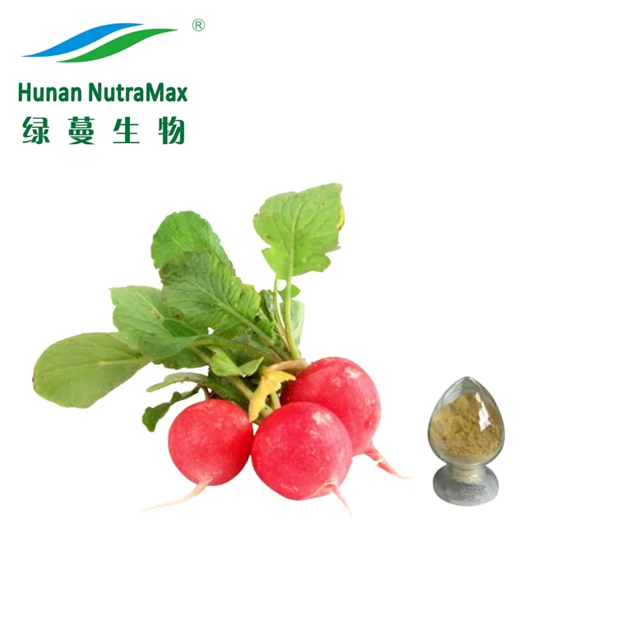 High Quality Turnip Seed Extract Radish Seed Powder Radish Seed Extract