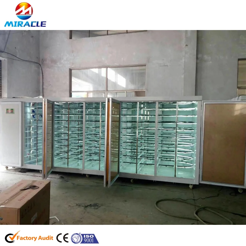 PLC Control Livestocks Hydroponics Fodder Growing Room to Produce Cow Green Feed