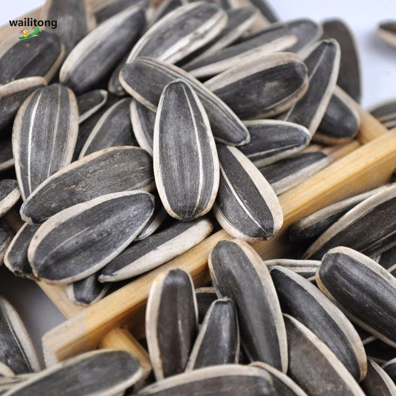 Fast Delivery Raw Natural Big Size Black 361 Sunflower Seeds
