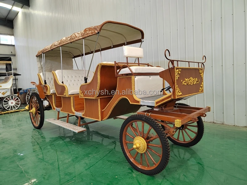 Deluxe Wedding Sightseeing Horse-drawn Carriage With Canopy/sightseeing ...