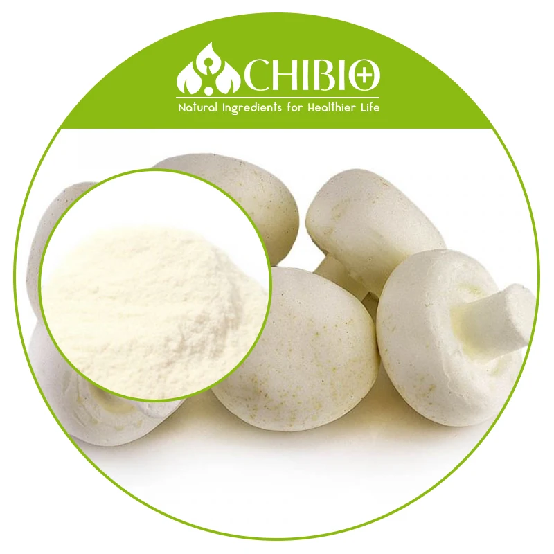 20cps Acid Soluble Novel Food Agaricus Bisporus Chitosan Powder for Supplement