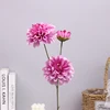 สีม่วง
