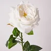 Blanco roto