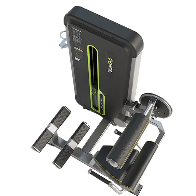 DHZ Fitness E3031A Back Extension Machine for Gym Centers - High
