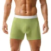 Verde chiaro