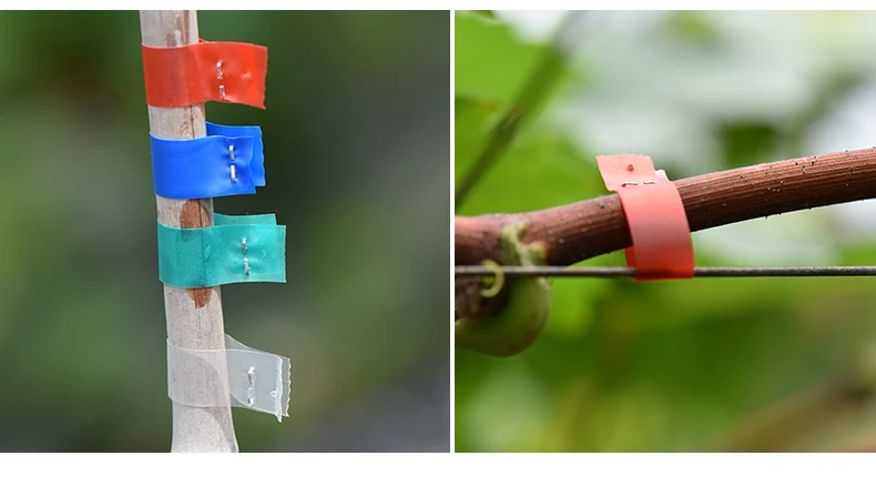 Grape Tying Machine Cucumber Bundling Branches Vine Tying Machine Garden Tools Vine Tying Machine