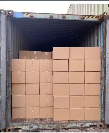2024HIGH QUALITY PRODUCT to DECORATE/ LEOPARD CONE SHELL FROM VIETNAM/ GOOD PRICE and LARGE  QUANTITY for WHOLESALE