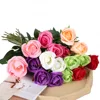 Varios colores
