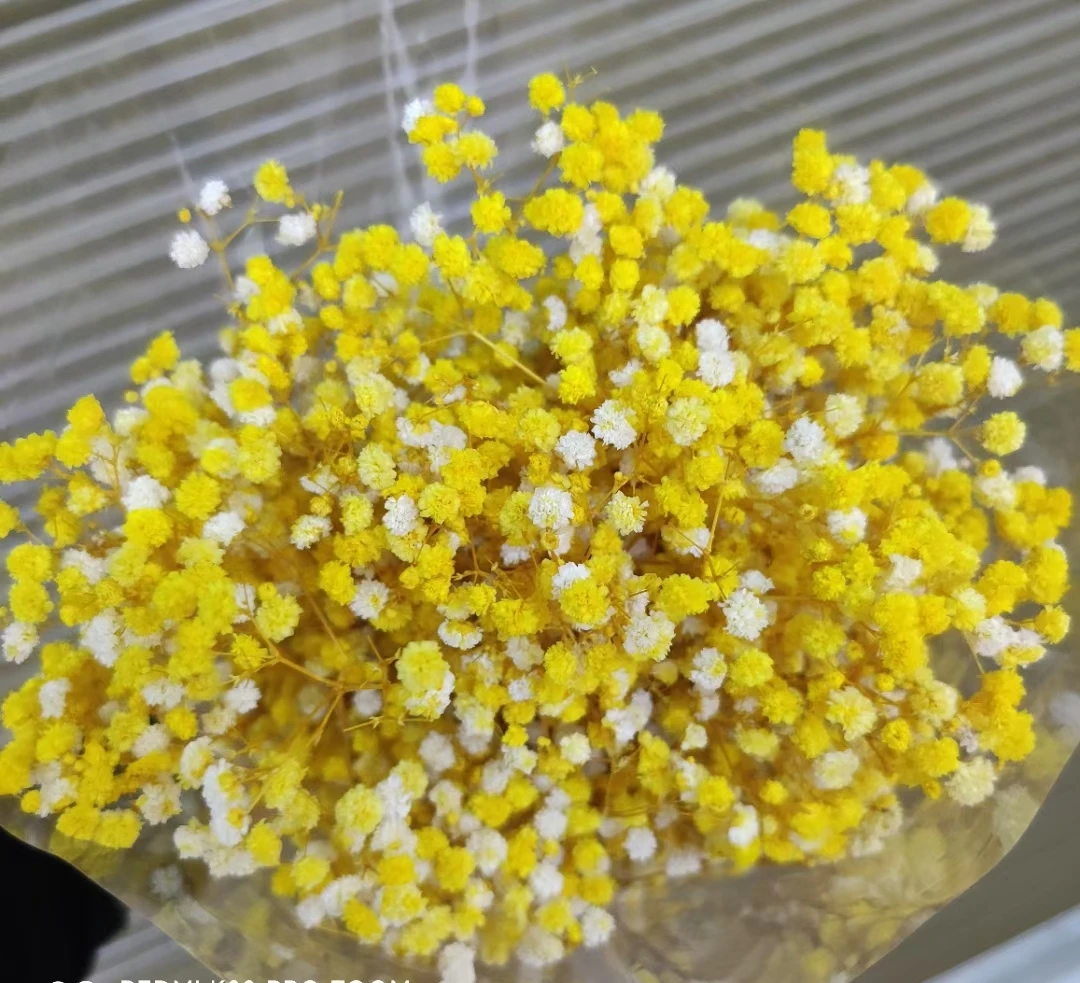 顶级销售保存婴儿呼吸婚礼装饰真实触摸满天星鲜花花束diy材料 Buy 婴儿呼吸满天星 真正的触摸婴儿呼吸 满天星product On Alibaba Com