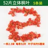 52 hojas de arce rojo [paquete de 5]