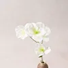 una rama blanca