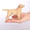 2269 Chien de Labrador