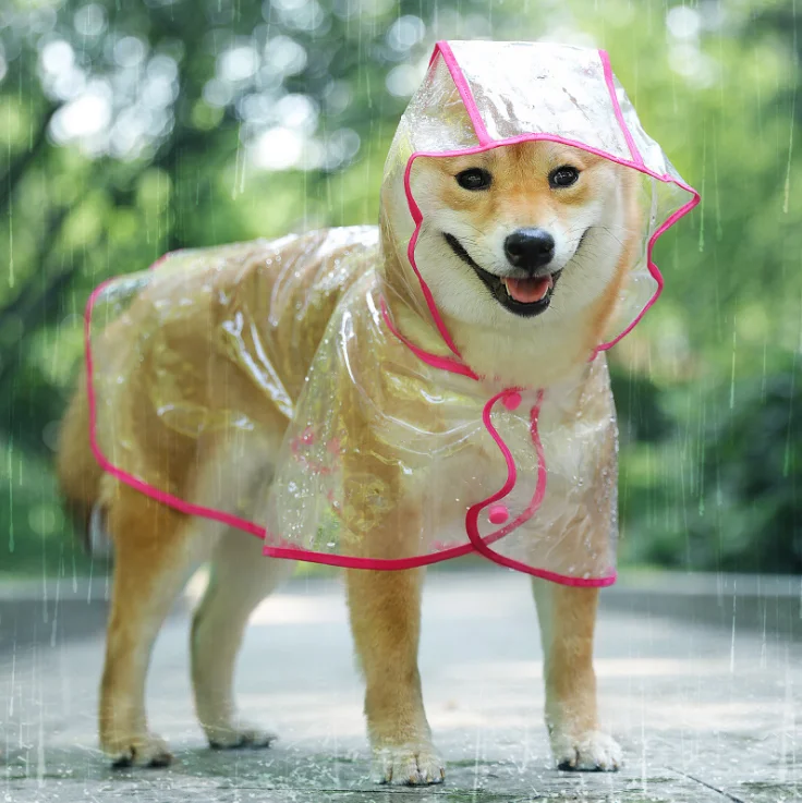 transparent dog raincoat