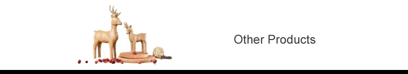 .jpg