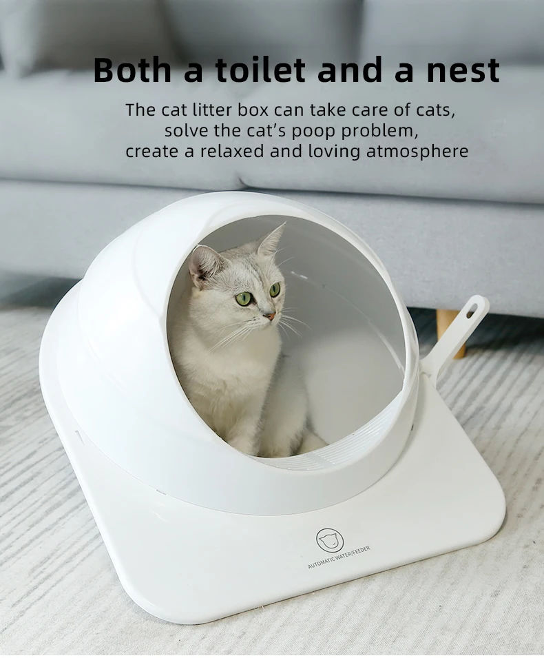 cute litter box