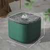 Modelo de moda-Verde
