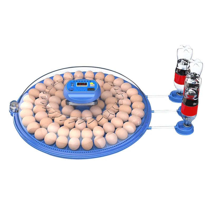 Alibaba.com: 80 Capacity Automatic Chicken Egg Incubator Hatcher for ...