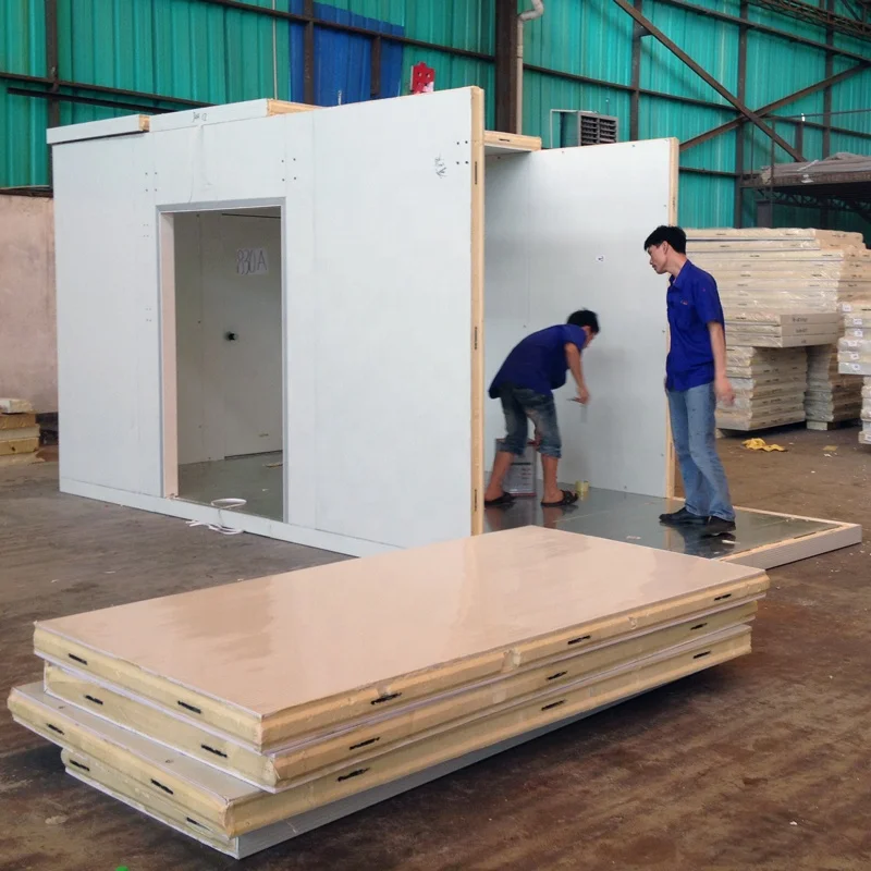 Portable Freezer Container 20ft Cold Storage Room Outside Walking Freezer Container 20ft Cold Storage Room