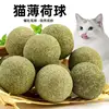 5 ซม. 10 ซม