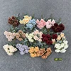 Tutti i colori 38115 (Contattaci)