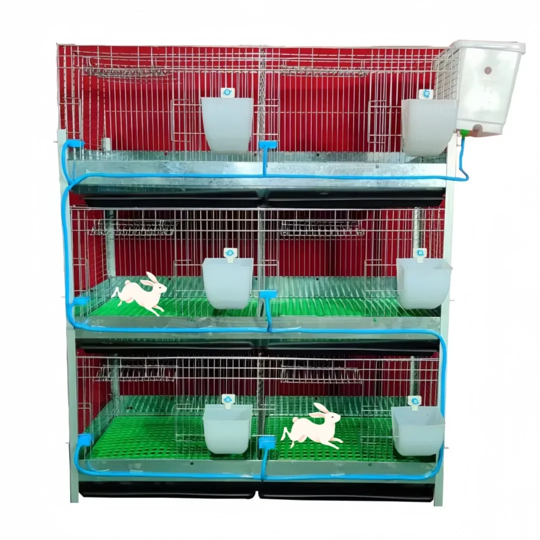 Industrial Rabbit Box European Cheep Rabbit Farming China Factory Directly Sale Industrial ...
