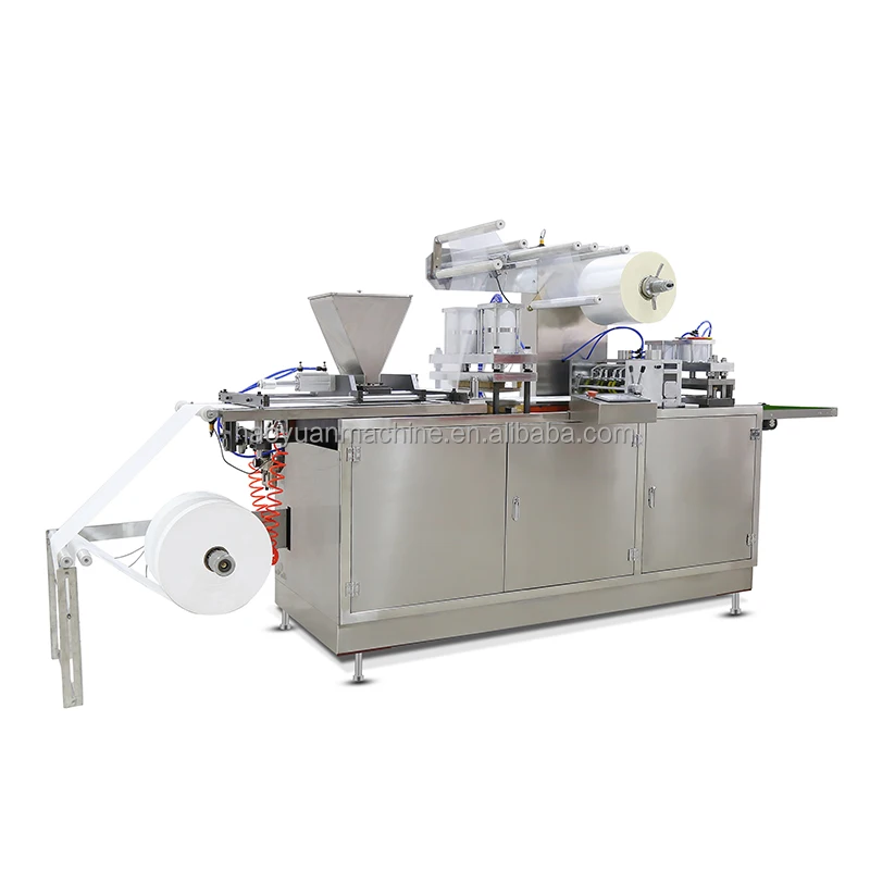 Full Automatic Biological Ice Pack Making Packing Machine Ice Bag Multi Function Packaging Machine HY-330B Haoyuan factory