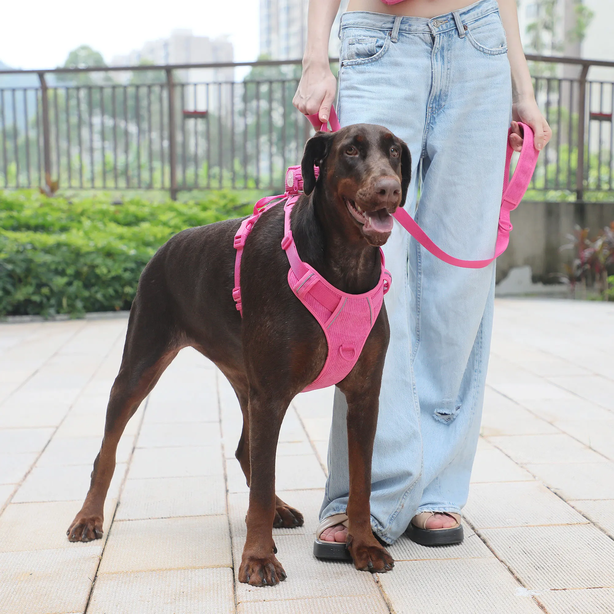 新款热销产品灯芯绒加厚豪华狗背带玫瑰红花式狗皮带套