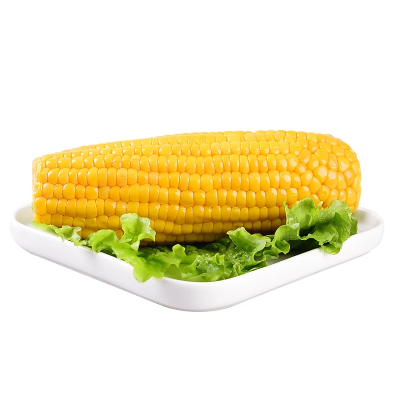 Cooked Vacuum Packed Sweet Corn