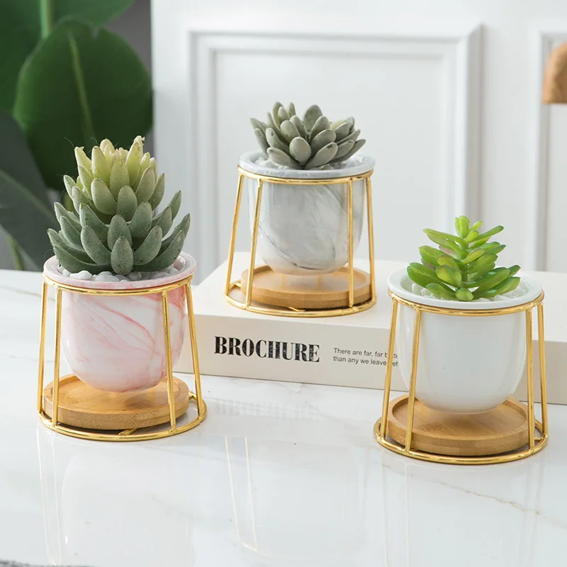 Simple White Creative Succulent Owl with Treetop Bamboo Frame Zakka Combination Potted Ceramic Plant Pots