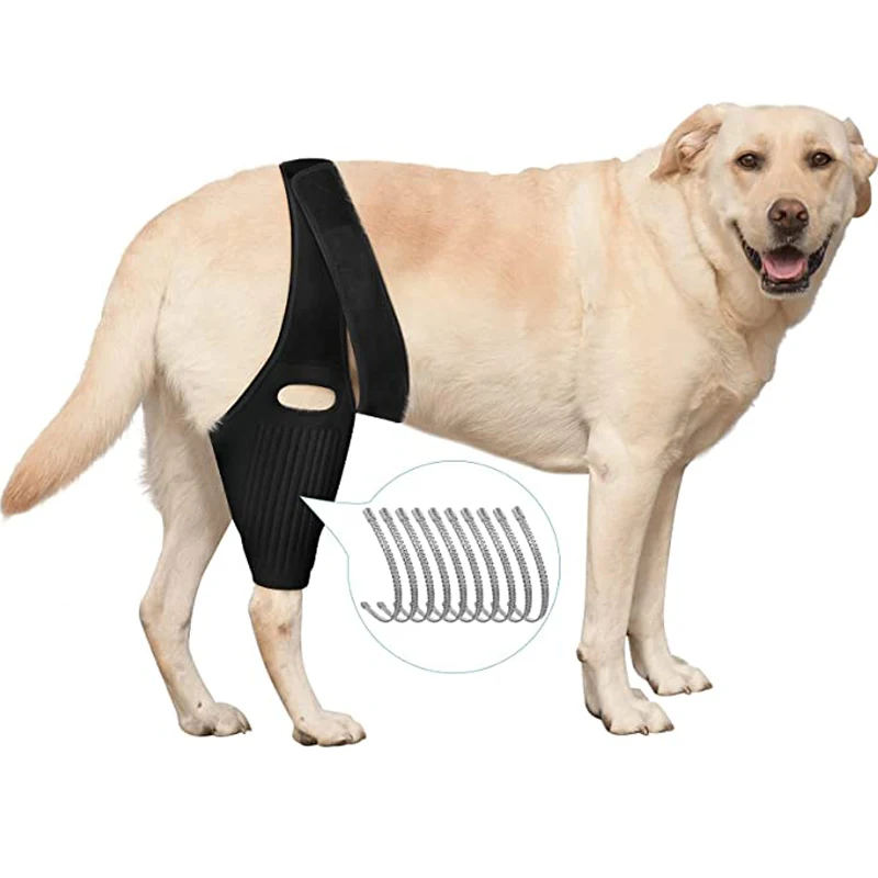 Dog Knee Brace for ACL with 10 Side Stabilizers Support Dog Leg Brace for Back Legs Cap Recovery Sleeve Pet Dog Knee Brace