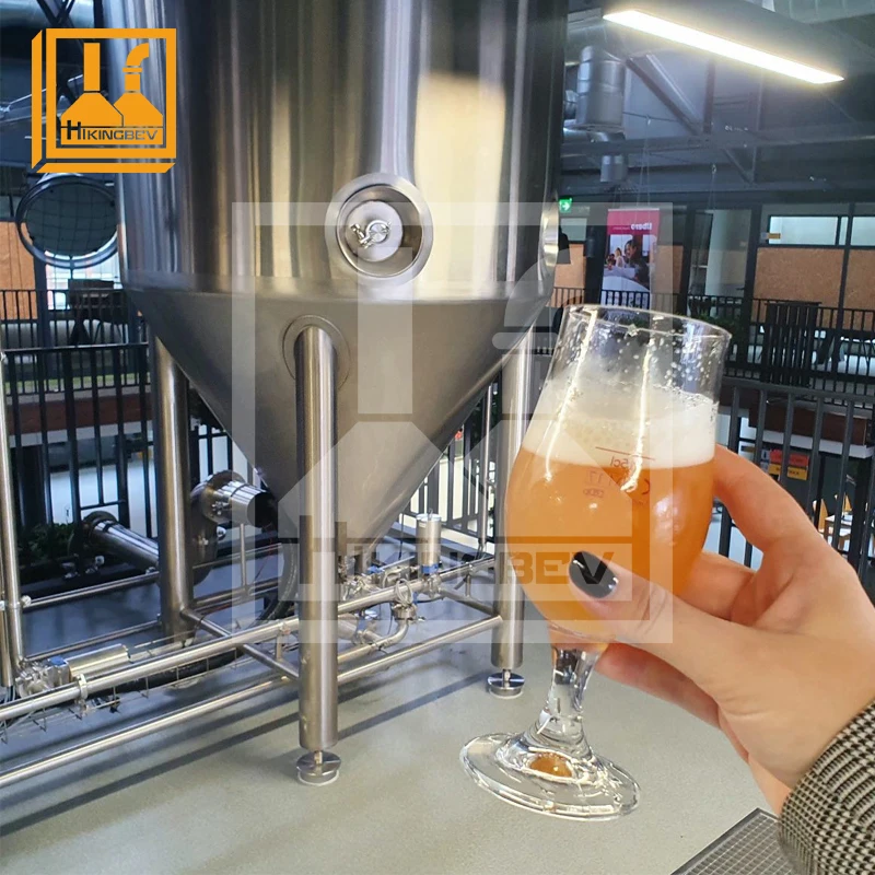 Efficient Smart Pub Brewing Commercial Malt Extract Beer Brewing System Commercial Liquid Malt Extract Brewing Machine