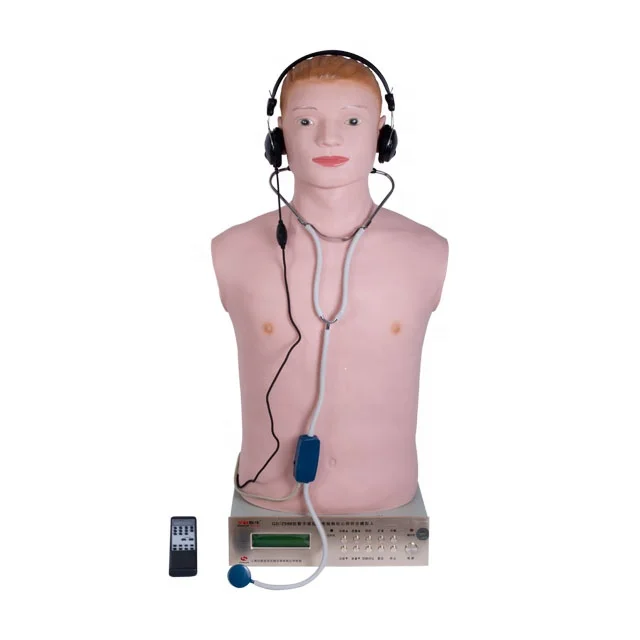 GD/Z990  Medical Digital Remote Controlled Cardiopulmonary Auscultation Manikin(Male)