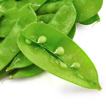 pea in the pod pictures