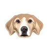 perro perdiguero de oro
