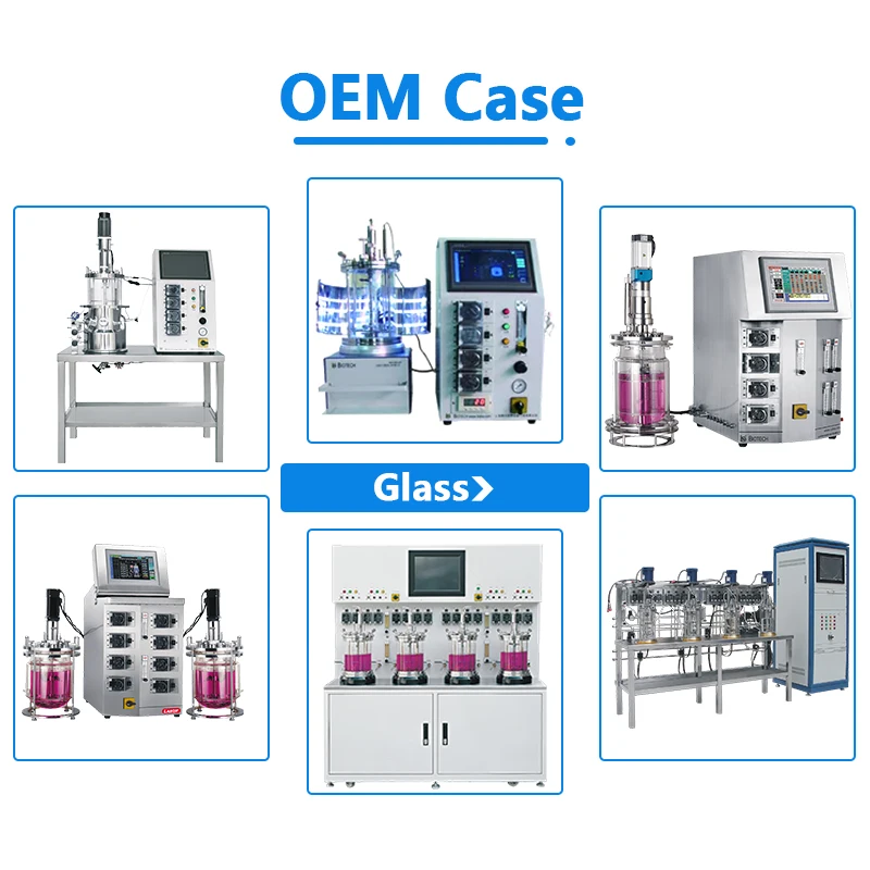 Lab1st Customizable Glass Lab Fermentation Bioreactor 5L 10L 15L 20l Fermentor Bioreactor