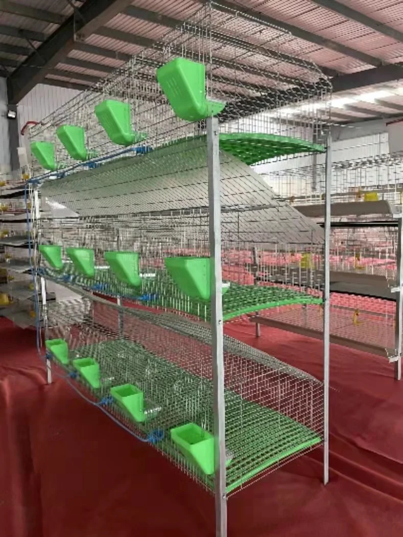 Galvanized Rabbit Cages Cheap Commercial Rabbit Breeding Cages Durable Provided Rabbit Cages for Sale 2023 Best Selling