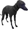 Negro