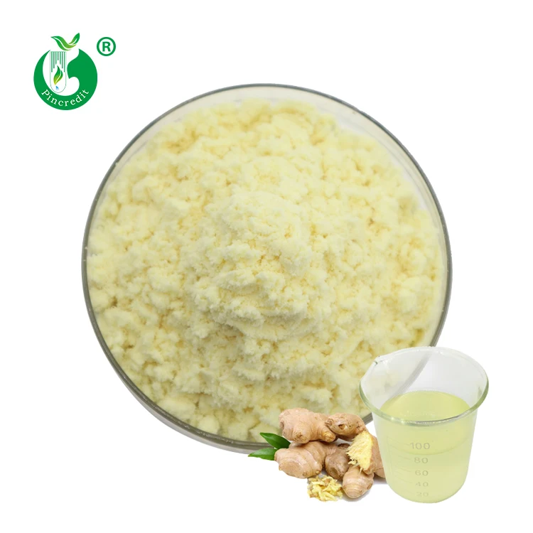 Ginger Root Extract Powder (Water Soluble ) Gingerol 1%