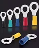 Yellow/blue/black/red