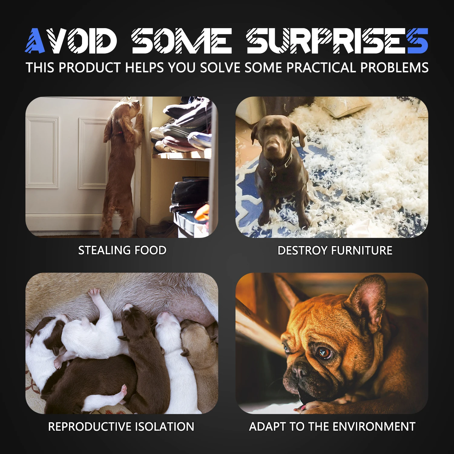 Easy Disassemble Heavy Duty Enclosure Metal Wire Dog Crate Pet Run Cage