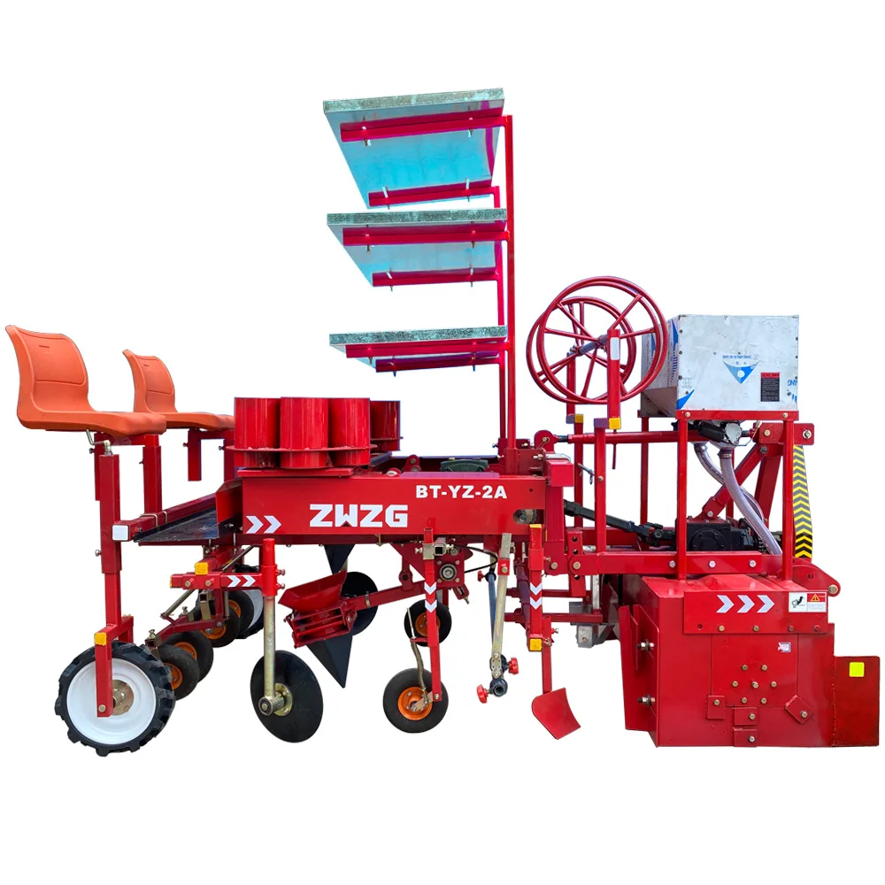 断捨離パイナップル 2個 断捨離パイナップル 2個 断捨離パイナップル 2