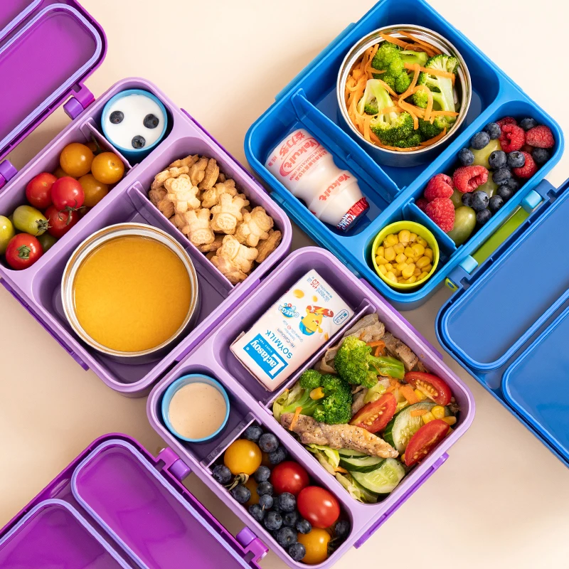 Hot Sale Portable  Food Grade Plastic Insulated Divided Lunch Box Lunch Box for Student Work