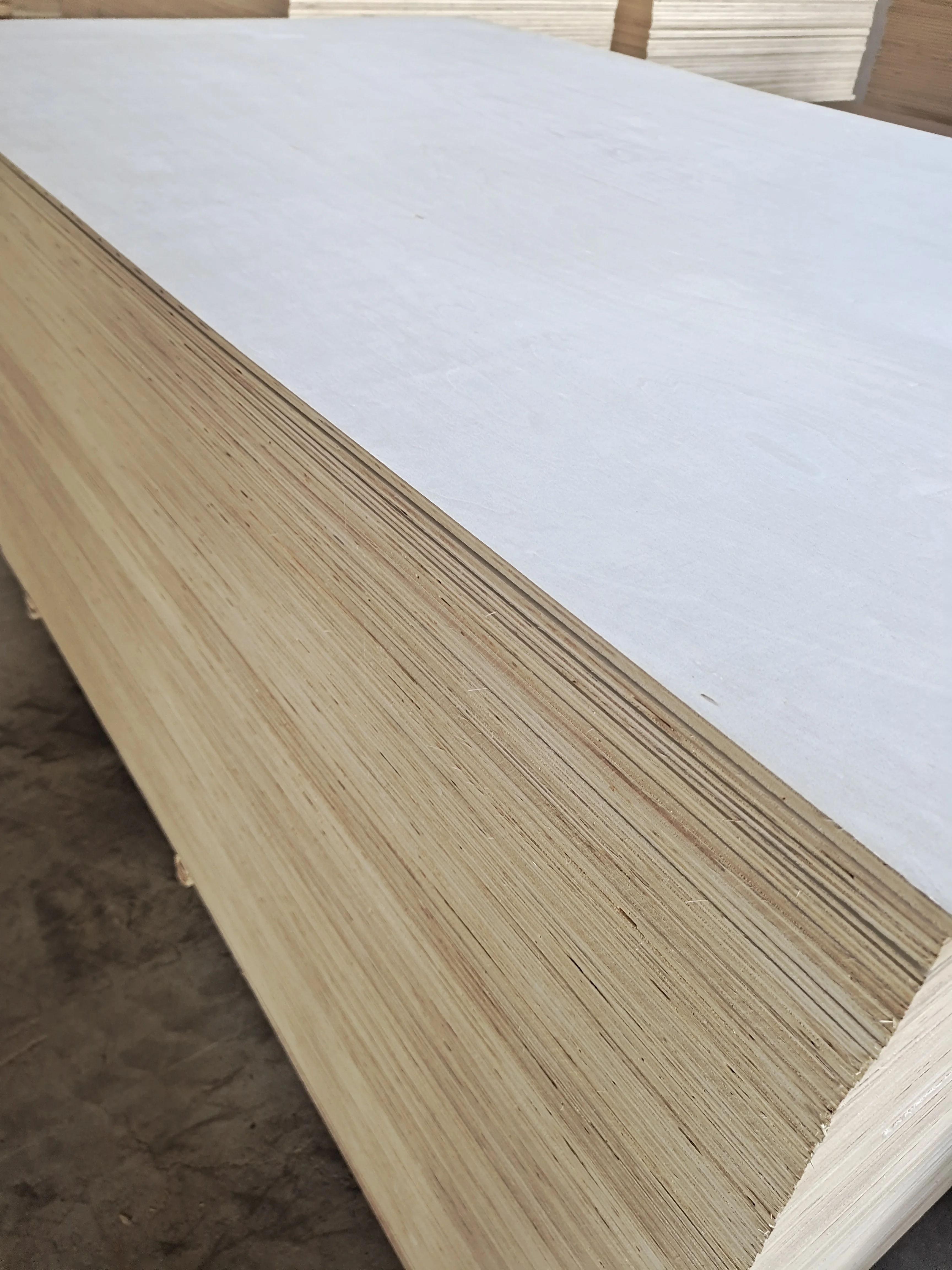 Core Veneer Poplar Plywood E0 3mm 6mm Full Poplar Plywood For Furniture
